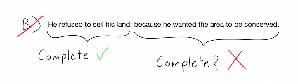 Answer choice B crossed out: the clause before the semicolon is complete, but 'because he wanted the area to be conserved' is not.
