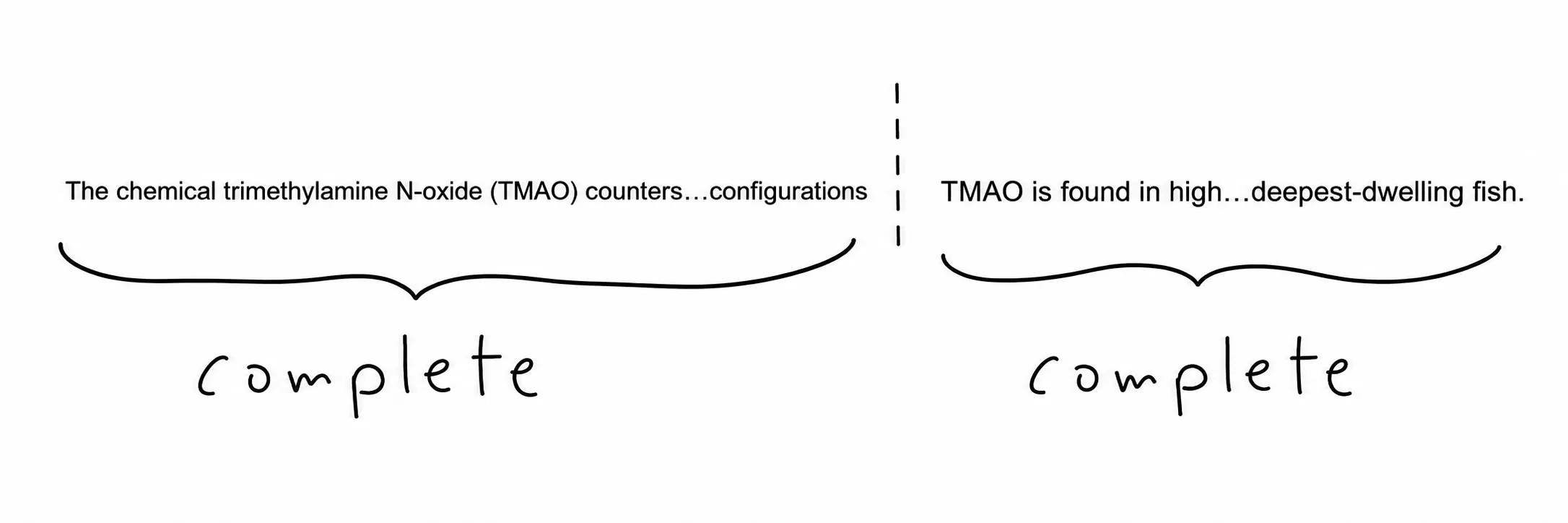 Diagram marking both halves of the TMAO sentence as complete, testing options between them.