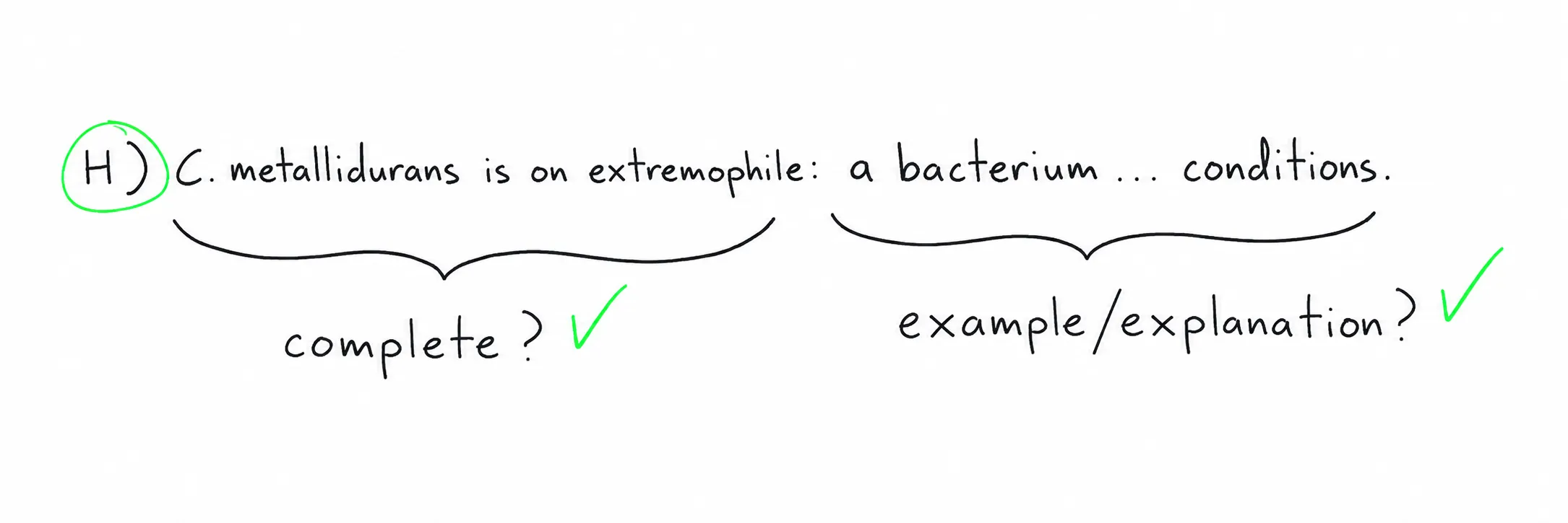 Colon test: 'C. metallidurans is an extremophile' is complete, and 'a bacterium … conditions' is an example or explanation, so the colon works.