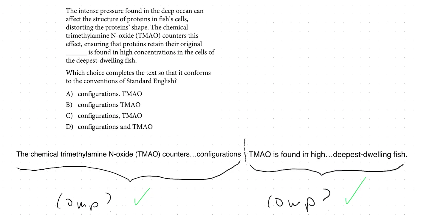 SAT-style question about deep-sea fish proteins and TMAO, with both halves of answer choice A marked complete on either side of the period.