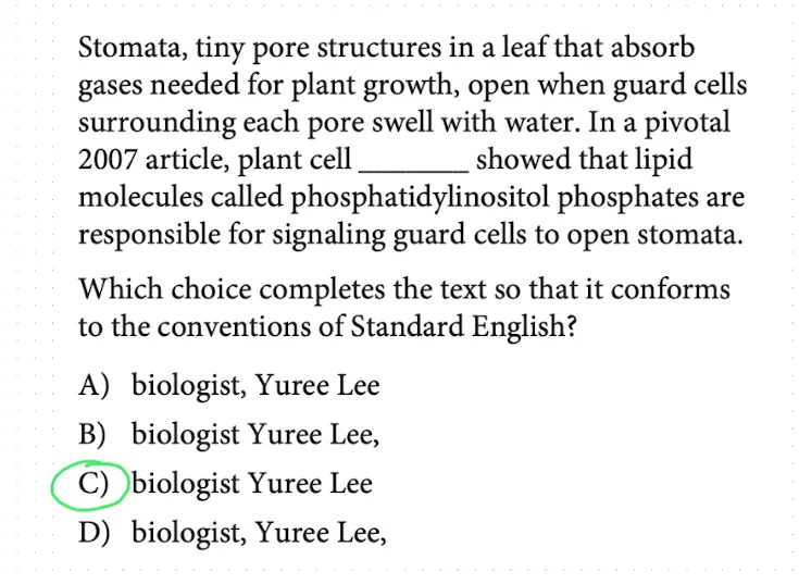 A second SAT-style example testing the title/occupation-plus-name pattern with no commas around the name.