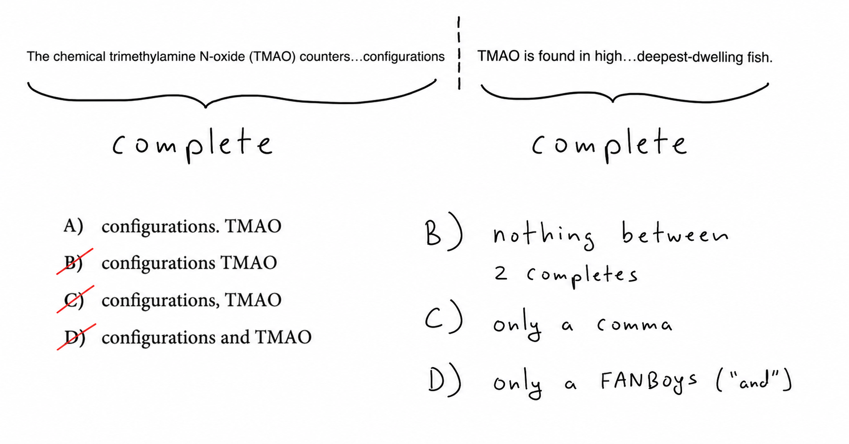 Annotation showing B (nothing), C (only a comma), and D (only 'and') are all run-ons.