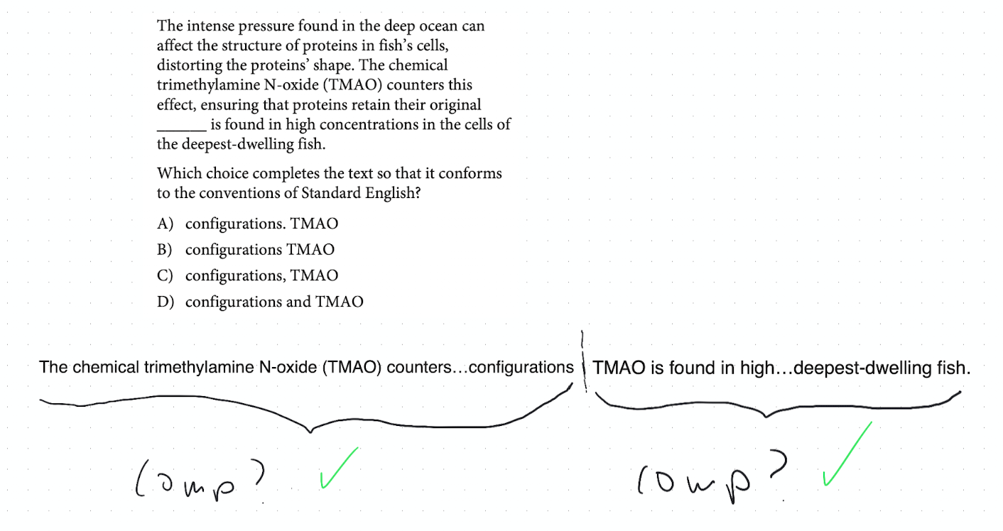 SAT-style question about deep-sea fish proteins and TMAO, with both halves of answer choice A marked complete on either side of the period.