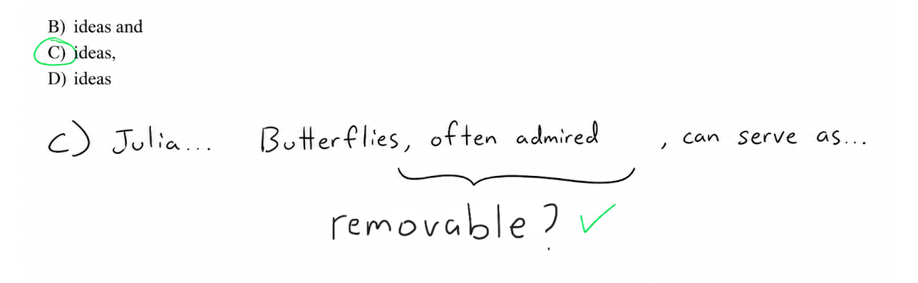 Confirmation that choice C is correct because the sentence still flows once the interjection is removed.