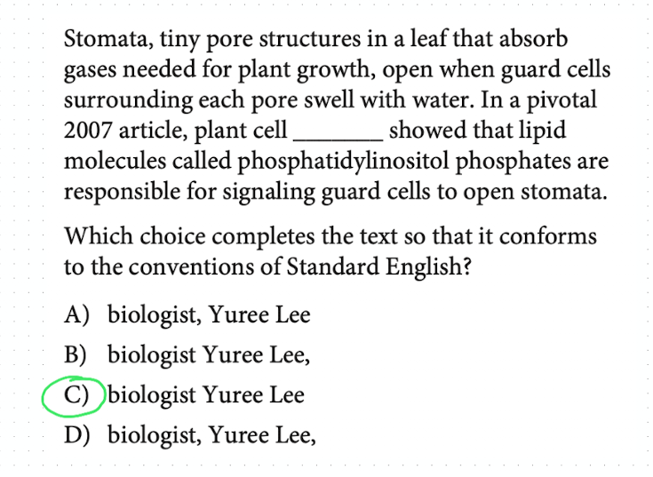 A second SAT-style example testing the title/occupation-plus-name pattern with no commas around the name.