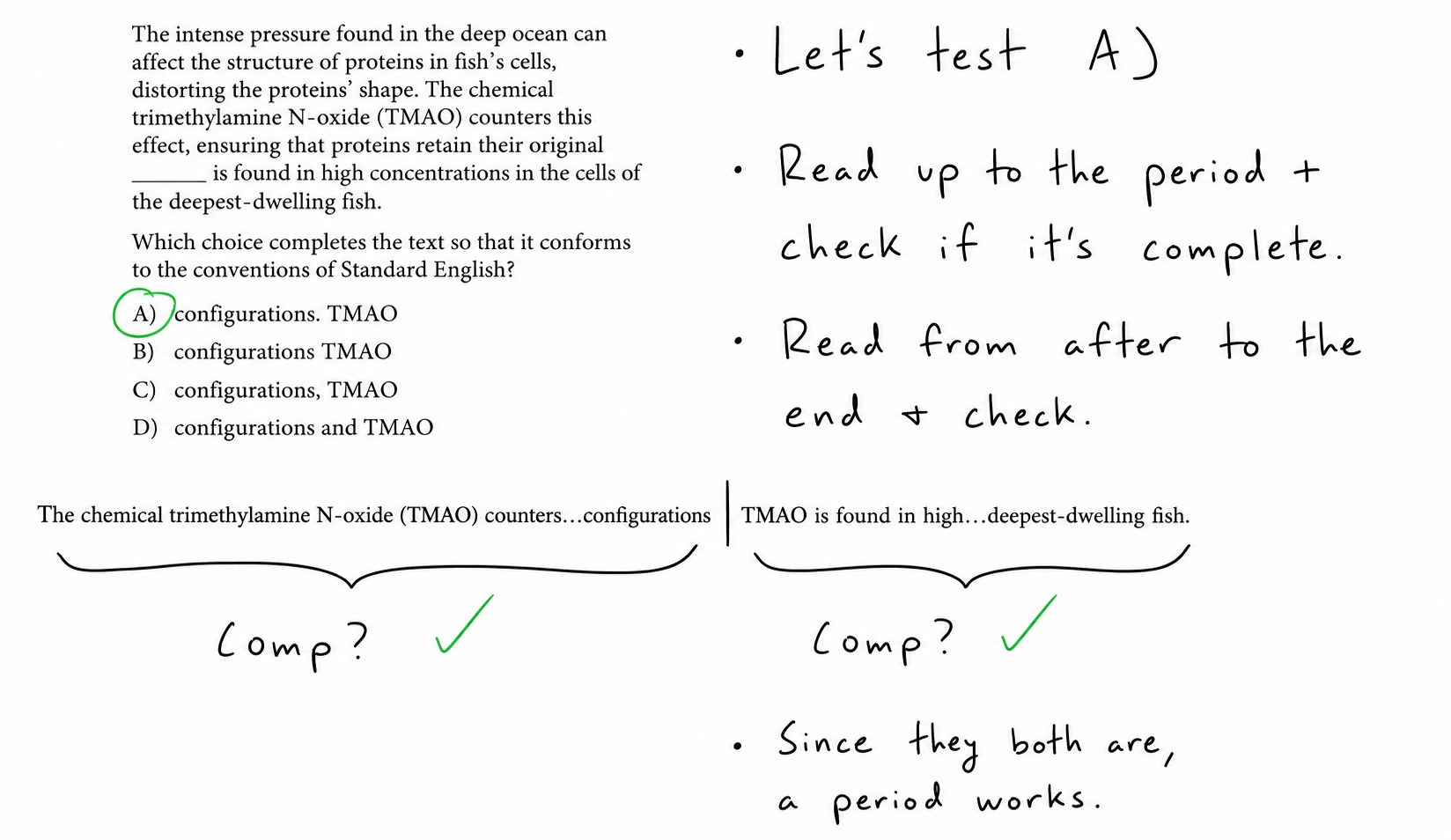 Reasoning notes: 'Let's test A) — read up to the period and check if it's complete — read from after to the end and check. Since they both are, a period works.'